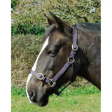 Purple woven rhinegold nylon headcollars with silver buckles and rings perfect for double layer nylon headcollars