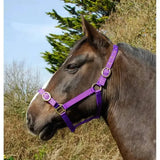Purple rhinegold nylon headcollars with brass metal hardware featuring durable double layer nylon and leadropes options