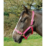 Rhinegold Nylon Headcollars Raspberry Shetland Headcollars