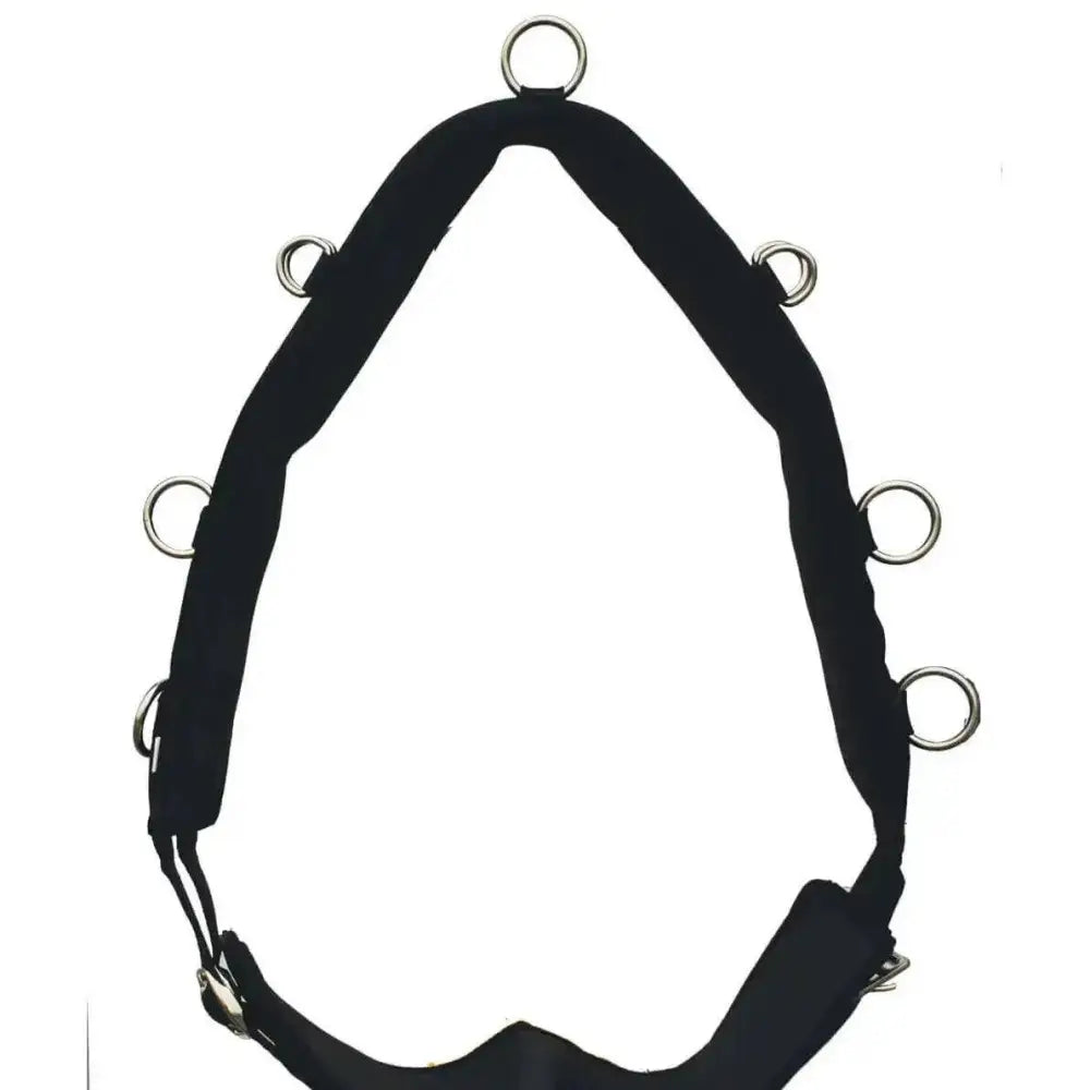 Black padded horse halter with silver metal rings and soft sympatex lining for rhinegold nylon lunging aids