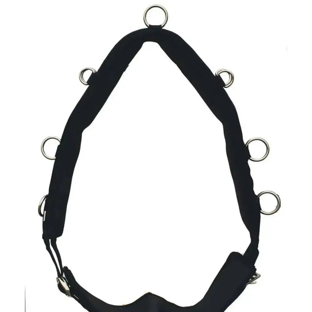 Black padded horse halter with silver metal rings and soft sympatex lining for rhinegold nylon lunging aids