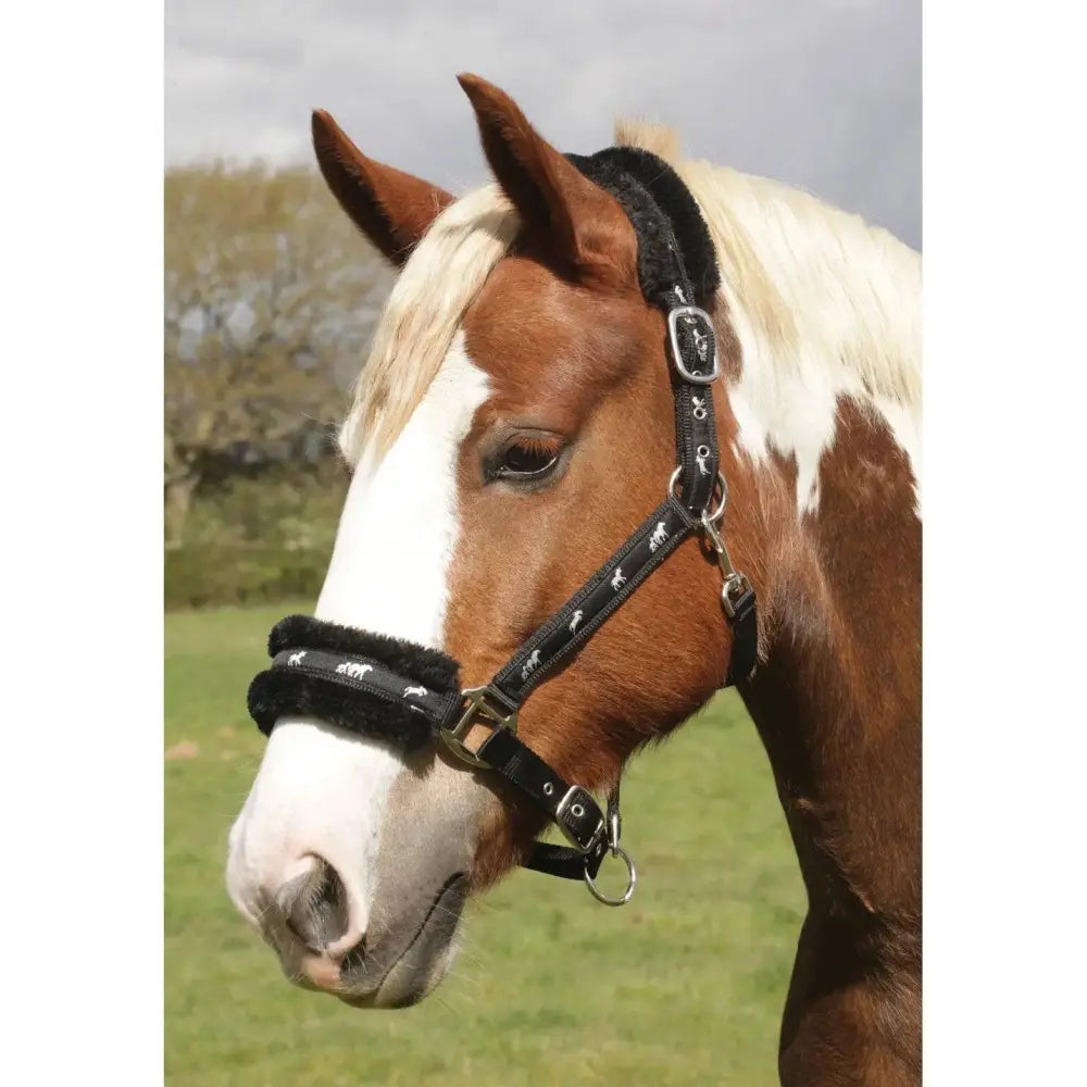 Rhinegold Padded Logo Headcollar Black Cob Headcollars & Leadropes Barnstaple Equestrian Supplies