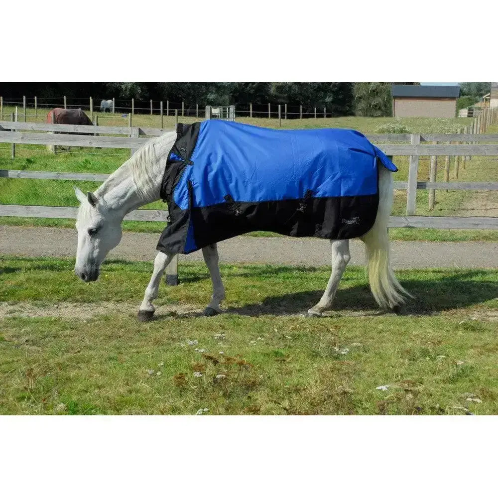 Blue and black rhinegold phoenix outdoor horse blanket with sleek durable design and easily adjustable neckline