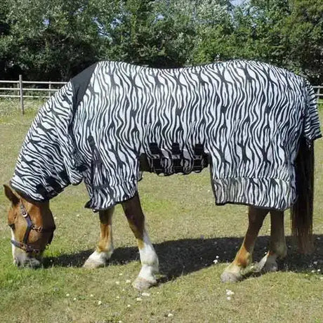 Rhinegold Sahara Zebra Fly Rug-4'6"-Fly Rugs-Rhinegold-Barnstaple Equestrian Supplies Tack Shop