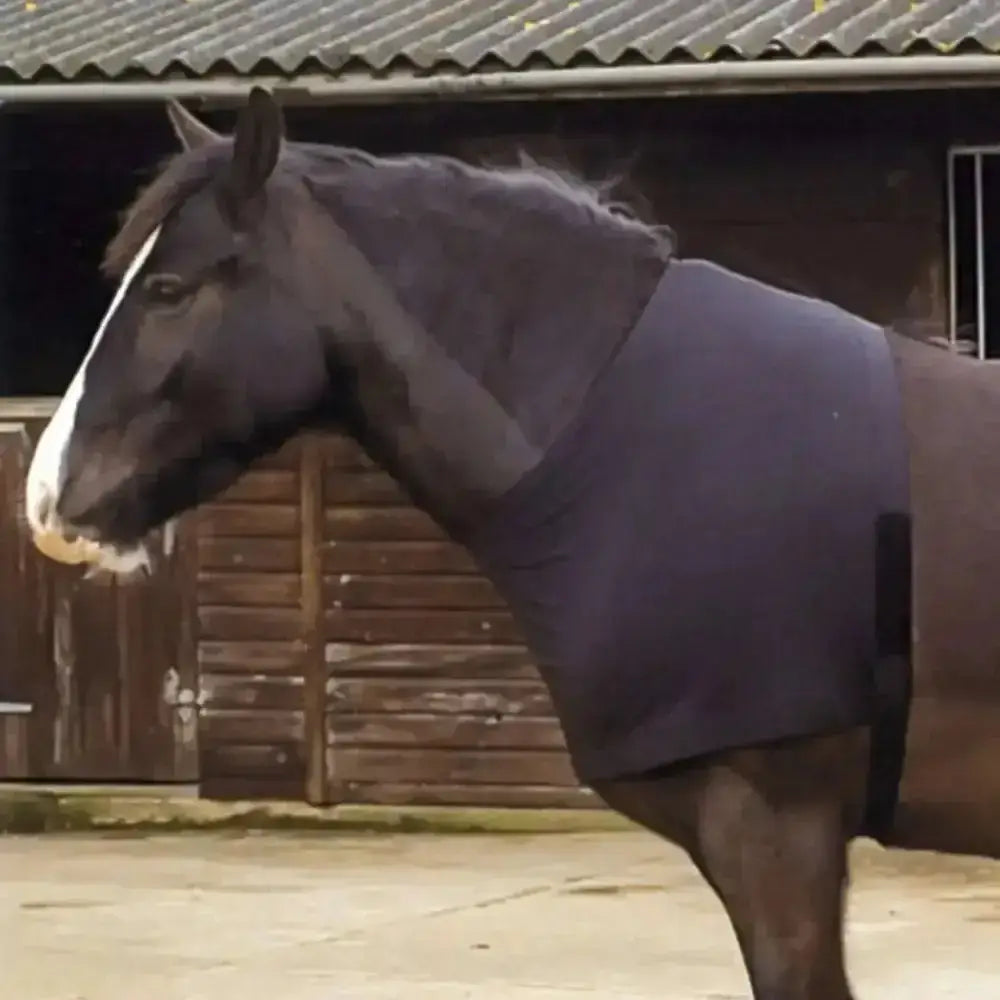Dark brown horse wearing a navy blue rhinegold satin lycra stretch vest with girth strap visible