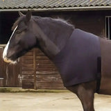 Dark brown horse wearing a navy blue rhinegold satin lycra stretch vest with girth strap visible