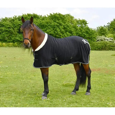 Black rhinegold show fleece horse blanket with quality anti-pill fleece, padded fur collar, and adjustable straps