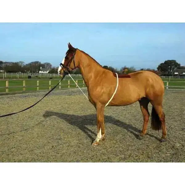 Rhinegold Soft Lunge Aid Lunging Lunging Systems Barnstaple Equestrian Supplies