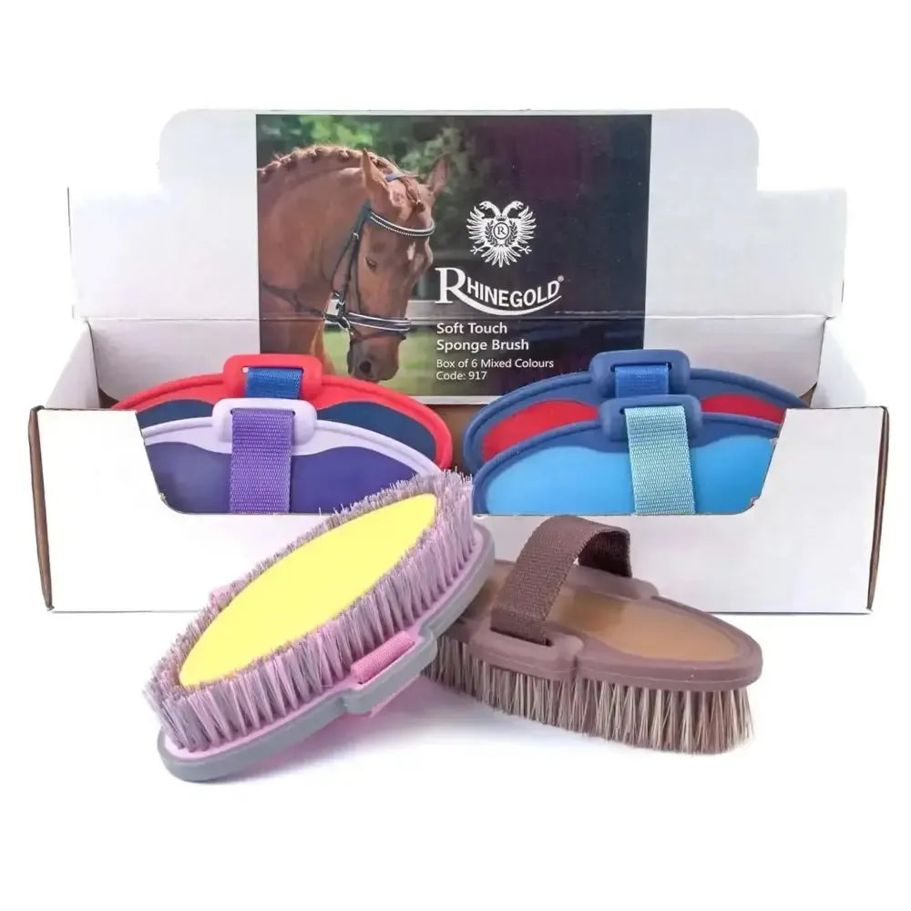 Rhinegold Soft Touch Sponge Brushes Box Of 6 Sponge Brushes