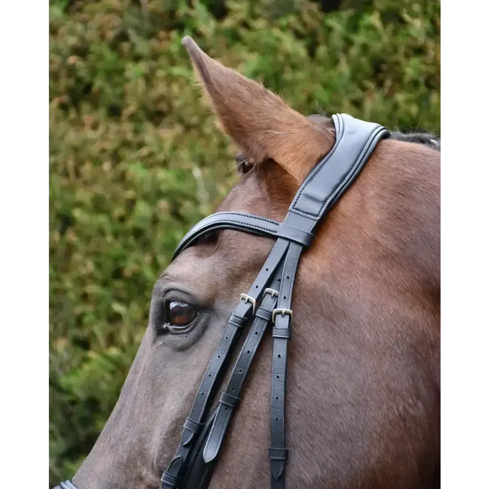 Rhinegold Softee Pro-Anatomic Flash Bridle Cob Black Anatomical Bridles