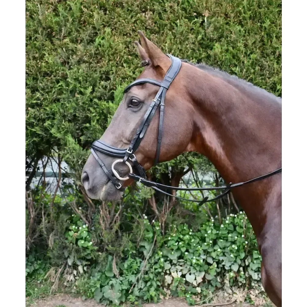 Rhinegold Softee Pro-Anatomic Flash Bridle Cob Black Anatomical Bridles