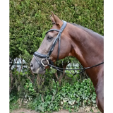 Rhinegold Softee Pro-Anatomic Flash Bridle Cob Black Anatomical Bridles