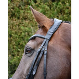 Black leather rhinegold softee anatomically shaped flash bridle with silver buckles for comfortable horse riding