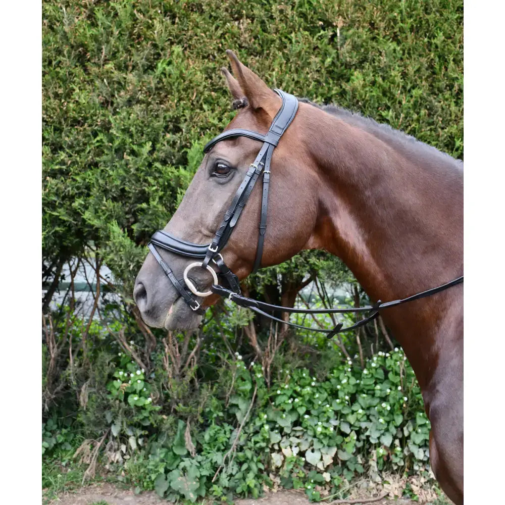 A sleek black leather rhinegold softee anatomically shaped flash bridle with silver metal hardware