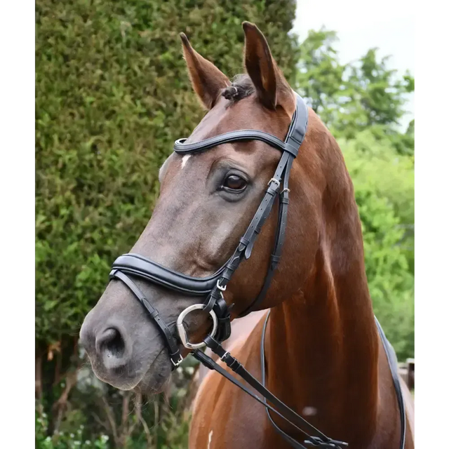 Rhinegold Softee Pro-Anatomic Flash Bridle Cob Black Anatomical Bridles
