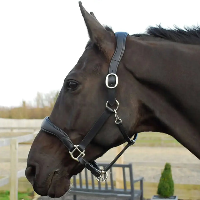 Rhinegold Softee Pro-Anatomical Leather Headcollar Black Cob Headcollars & Leadropes Barnstaple Equestrian Supplies