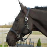 Rhinegold Softee Pro-Anatomical Leather Headcollar Black Cob Leather Headcollars