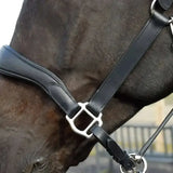 Black leather cushioned softee leather rhinegold softee pro-anatomical headcollar with silver metal buckle and hardware