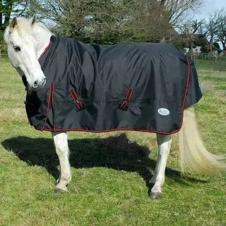 Rhinegold Thor 350g Heavy Weight Turnout Rugs 4'6" Black / Red Turnout Rugs Barnstaple Equestrian Supplies