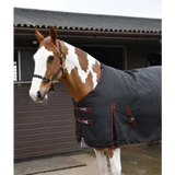 Rhinegold Thor 350g Heavy Weight Turnout Rugs 4'6" Black / Red Turnout Rugs