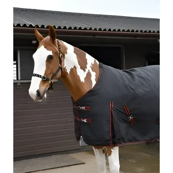 Black horse blanket with red trim and silver buckles rhinegold thor 350g heavy weight turnout rug
