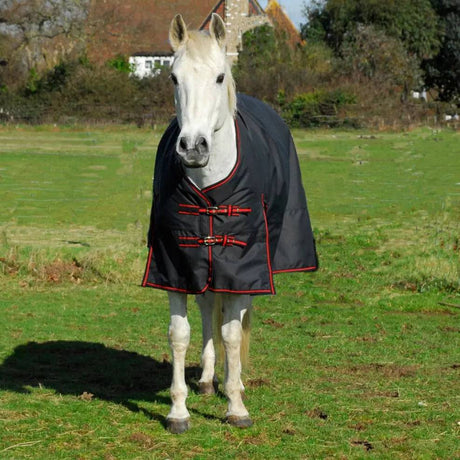 Rhinegold Thor 350g Heavy Weight Turnout Rugs 4'6 Black / Red Rhinegold Turnout Rugs Barnstaple Equestrian Supplies