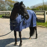 Navy blue rhinegold torrent turnout lightweight turnout rug with silver buckles white trim and reinforced stitching