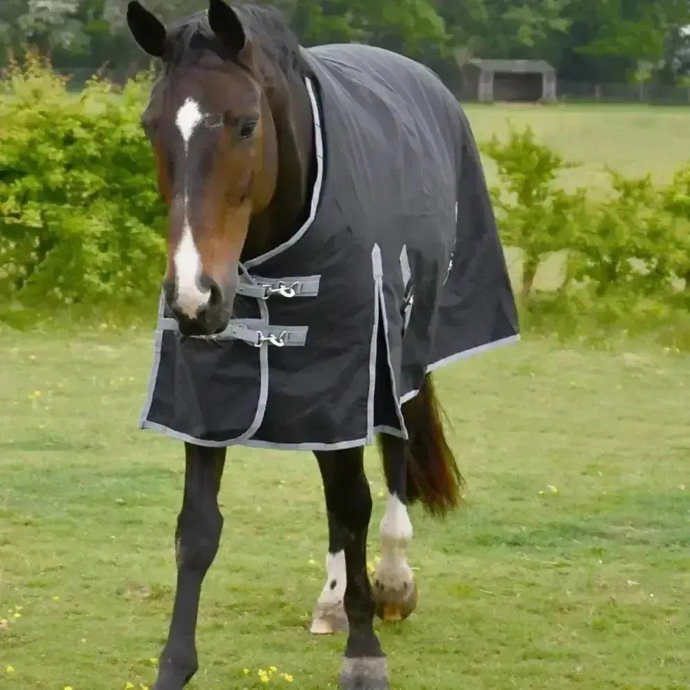 Rhinegold Turnout Rug Konig 200g Medium Weight Standard Neck Black 4'6" Turnout Rugs