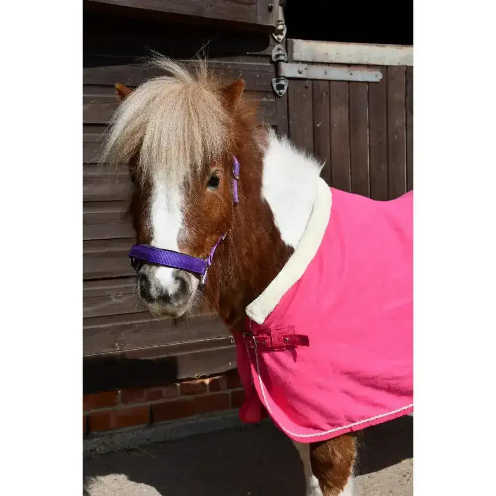 A brown and white pony wearing a pink rhinegold unicorn embroidered fleece rug with white fleece lining and red buckles