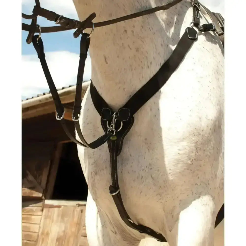 Black leather rhinegold v-check breastplate with metal hardware fully elasticated section and detachable running martingale