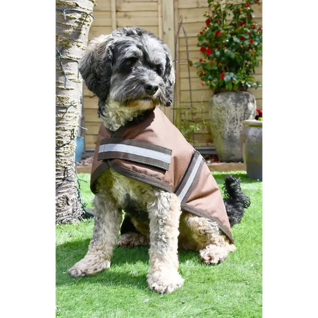 Rhinegold Waterproof Dog Coat Brown 10"(25cm) Dog Coat