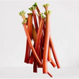Rhubarb Bunch fruit