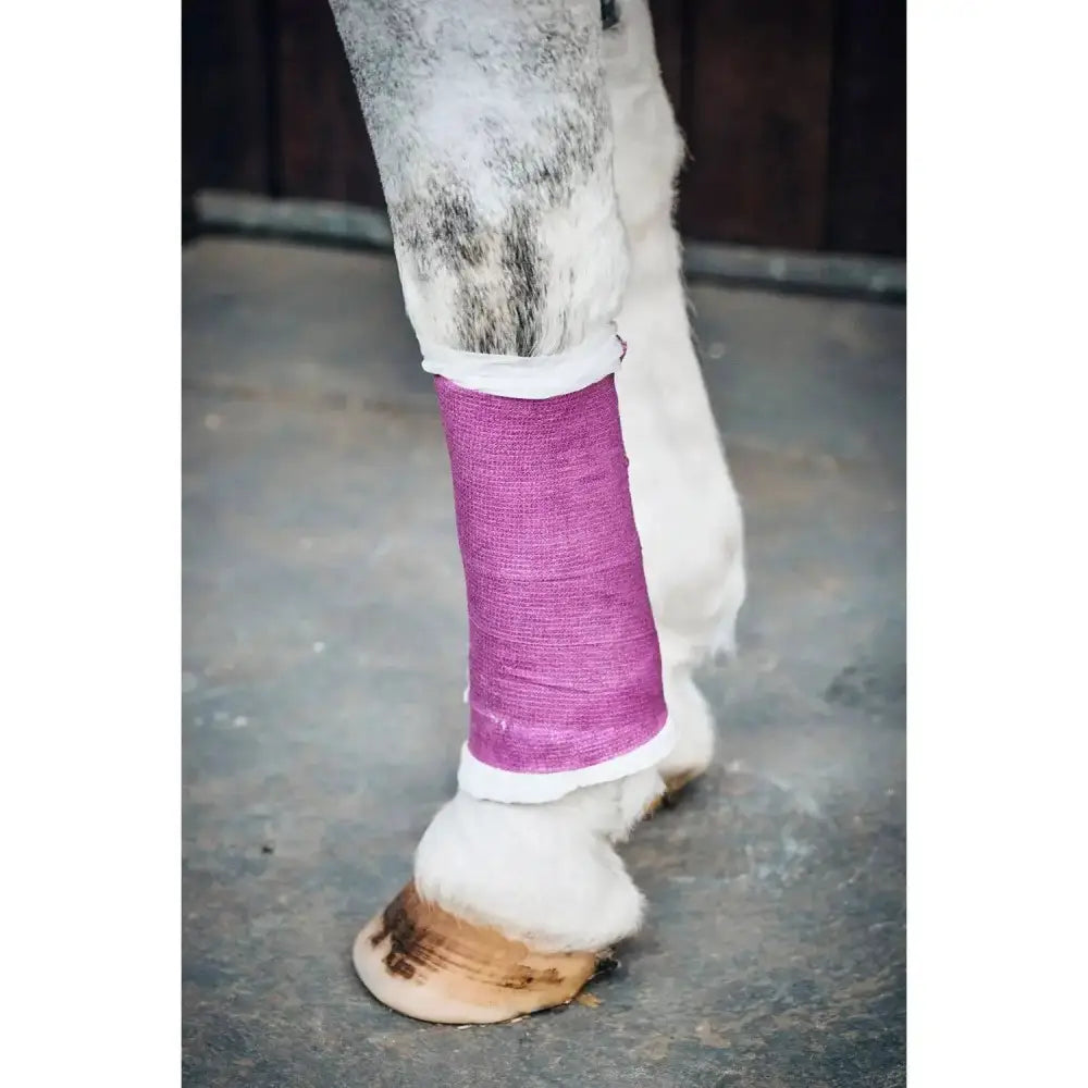 Robinsons Healthcare Equiwrap Bandage Red Vet Wrap Barnstaple Equestrian Supplies