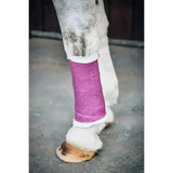 Purple woven robinsons healthcare equiwrap bandage with white trim wrapped around a horse lower leg vet wrap robinsons
