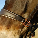 Brown leather rocco italia turin leather headcollar with luxury padded leather and copper-colored metal buckle