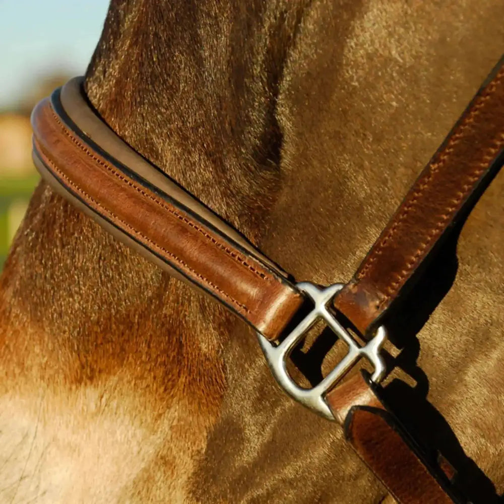 Rocco Italia Verona Leather Headcollar Brown Cob Headcollars & Leadropes Barnstaple Equestrian Supplies