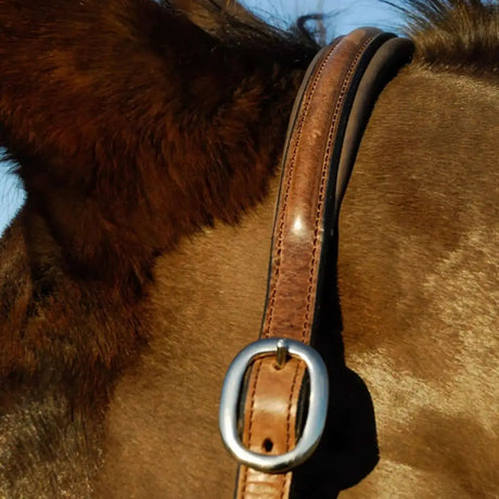 Rocco Italia Verona Leather Headcollar Brown Cob Headcollars & Leadropes Barnstaple Equestrian Supplies