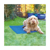 Blue rosewood pet cool mat on grass perfect for keeping pets comfortable on warm summer days