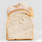 A slice of round white bread with a golden crust and soft airy sourdough interior perfect for sandwiches
