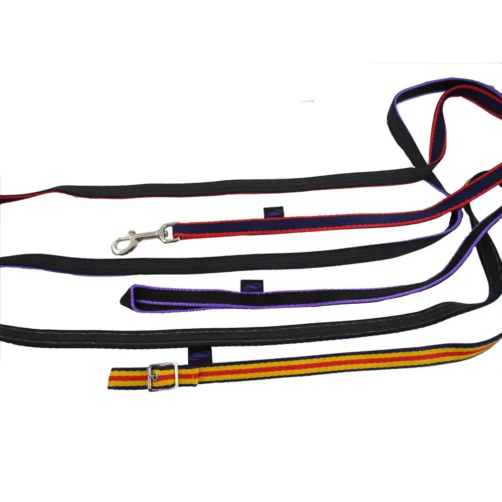 Black dog leashes with colorful striped accents and metal hardware made of rubber grip webbing with trigger attachment