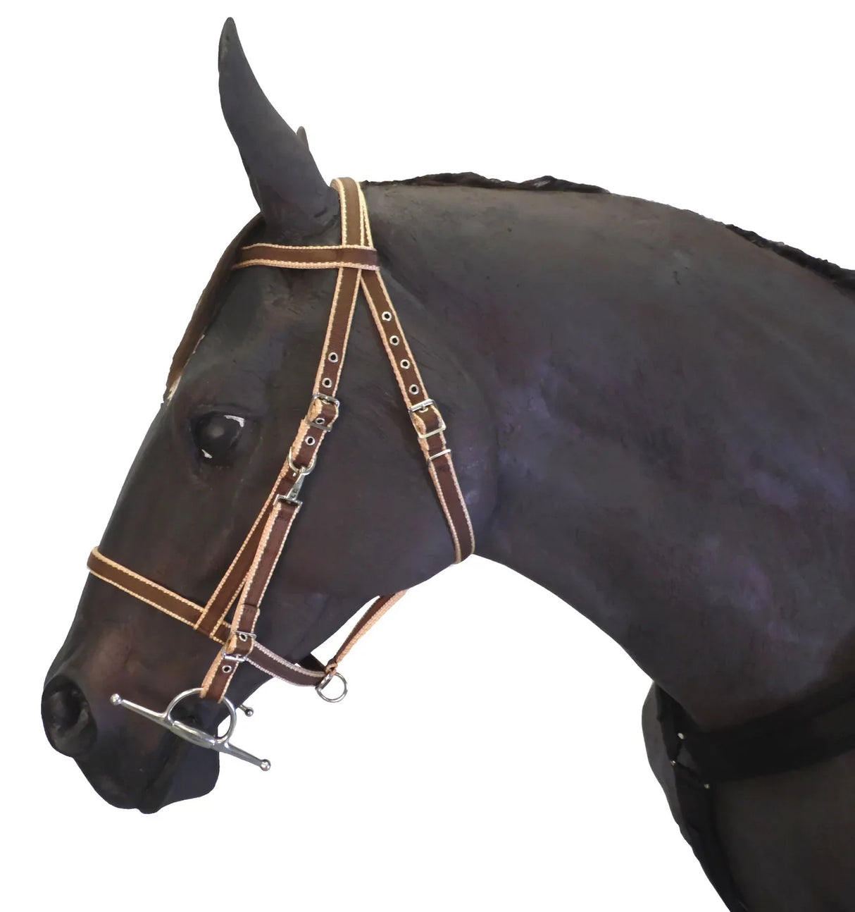 Endurance Combination Bridle