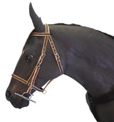 Endurance Combination Bridle
