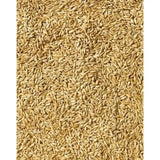 Saracen English Bruised Oats Horse Feeds