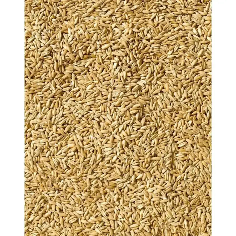 Golden-brown dry whole oat grains of saracen english bruised oats perfect for baking and cooking use
