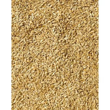 Golden-brown dry whole oat grains of saracen english bruised oats perfect for baking and cooking use