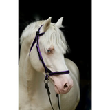 Scawbrig Bitless Bridle Navy/Red Small Pony 