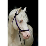 Scawbrig Bitless Bridle