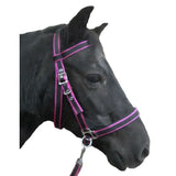 Pink and black striped scawbrig bitless bridle cheek pieces with silver hardware for small pony use