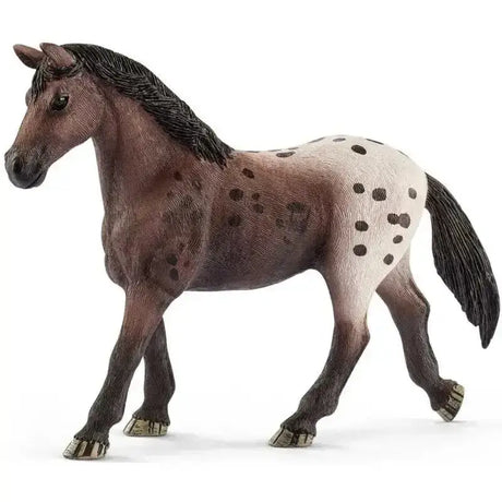 Detailed plastic schleich appaloosa mare model with spotted brown and white coat and black mane and tail