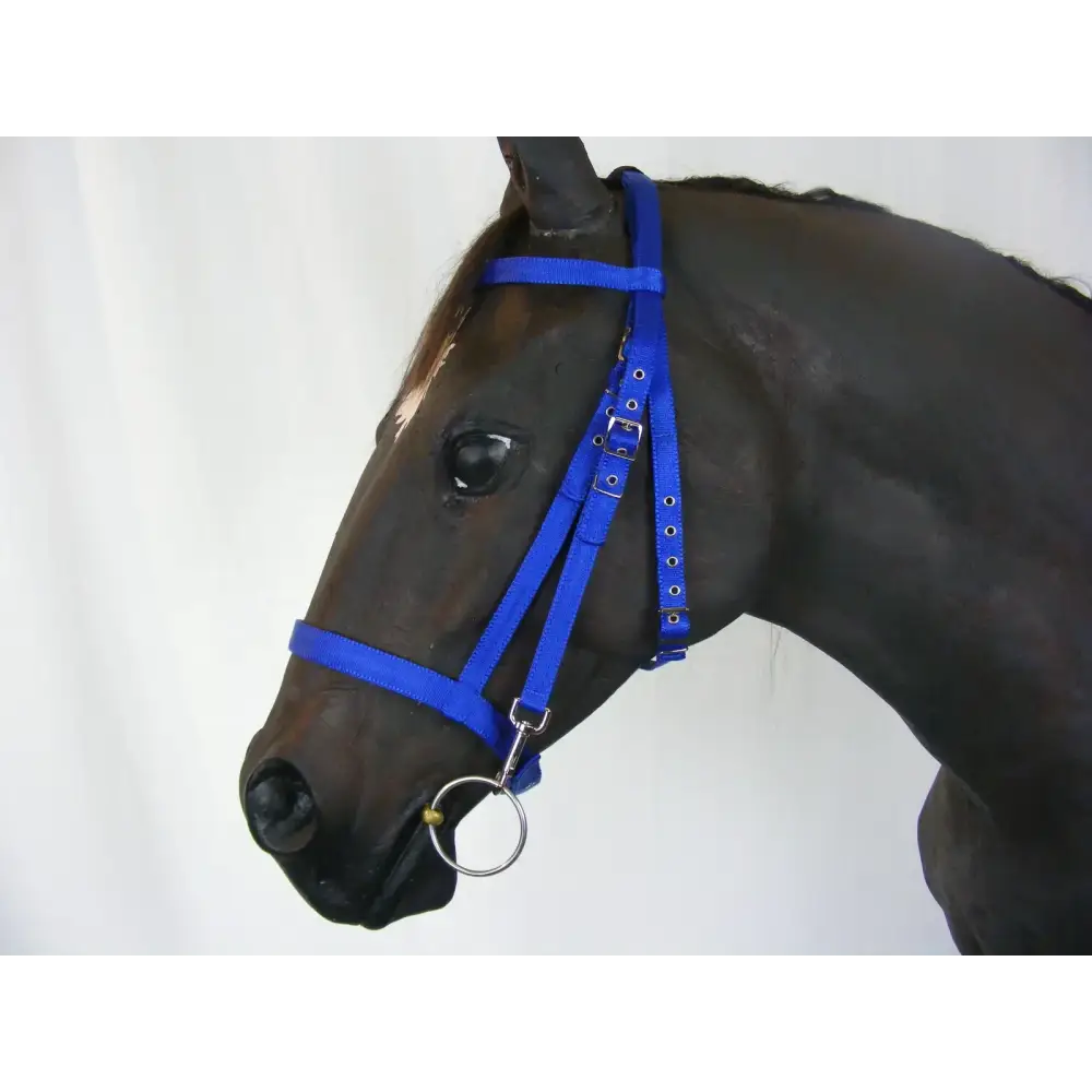 Schooling Bridle